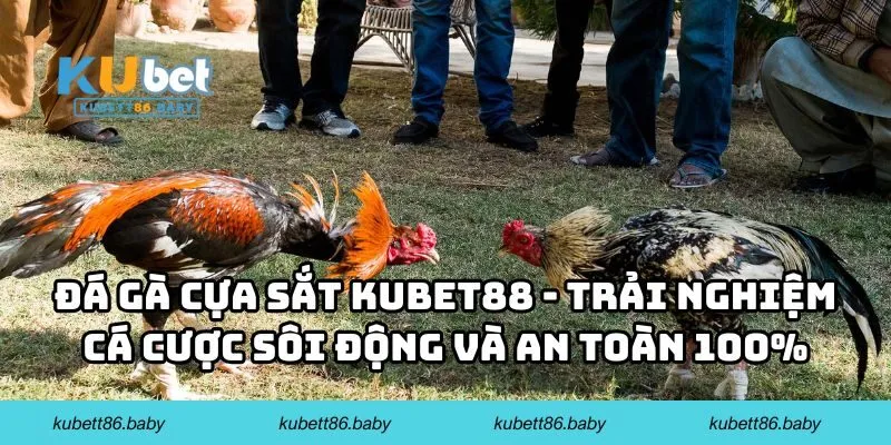Đá gà cựa sắt Kubet88 - Trải nghiệm cá cược sôi động và an toàn 100%