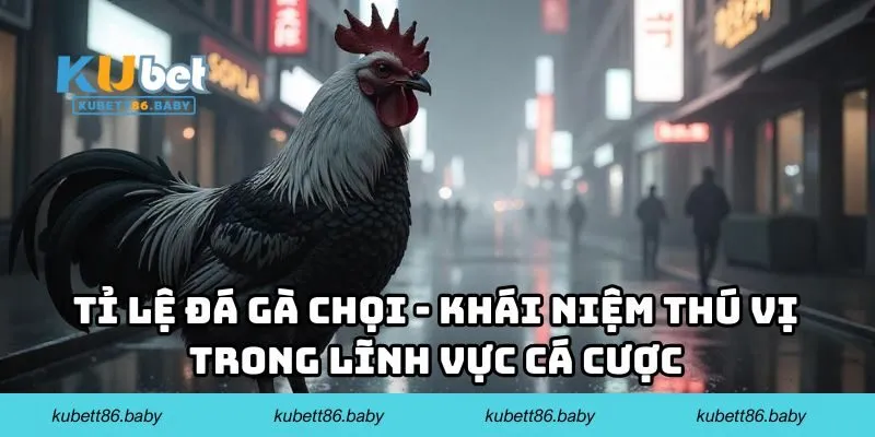 Tỉ lệ đá gà chọi - Khái niệm thú vị trong lĩnh vực cá cược